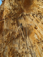 SNV80282.JPG